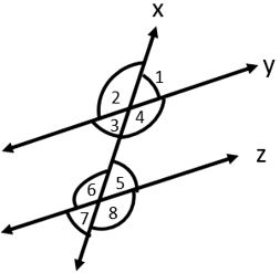 Lines and Angles Worksheet