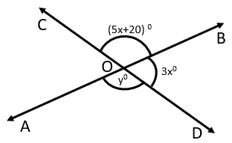 Lines and Angles Worksheet