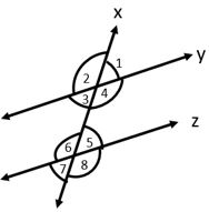 Lines and Angles Worksheet