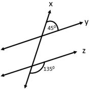 Lines and Angles Worksheet