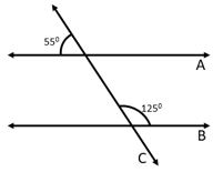 Lines and Angles Worksheet