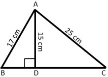 Properties of Triangle Worksheet