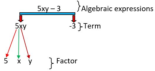 Class 8 Factorisation