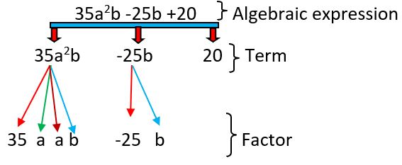 Class 8 Factorisation