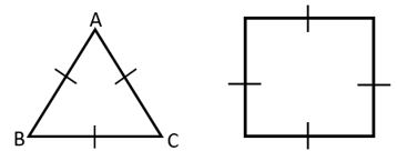 Class 8 Polygon