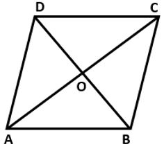 Class 8 Rhombus