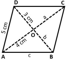 Class 8 Rhombus