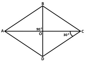 Class 8 Rhombus