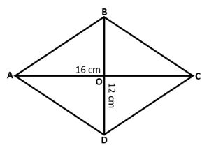 Class 8 Rhombus