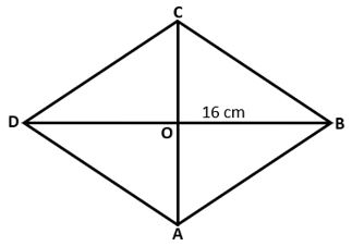 Class 8 Rhombus Questions