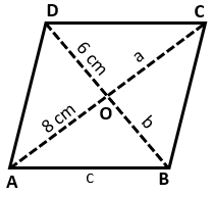 Class 8 Rhombus Questions