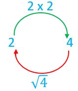 Class 8 Square And Square Root